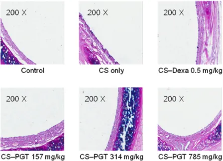 Fig. 4. Effect of PGT on secretion of in vivo airway mucin from rats exposed to cigarette smoke extract plus sulfur dioxide.