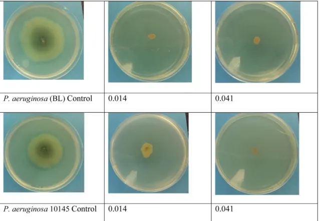 Fig. 3. Effects of different concentrations (0.041, 0.014 and 0.0046%) of T. capitata EOs on the aggregation ability of P.