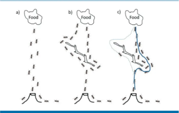 그림 1.  Ant Colony Optimization 알고리즘 개요