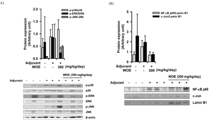Fig. 2. Effects of WOE on the signaling pathways of arthritic inflammation in adjuvant-induced arthritis rats