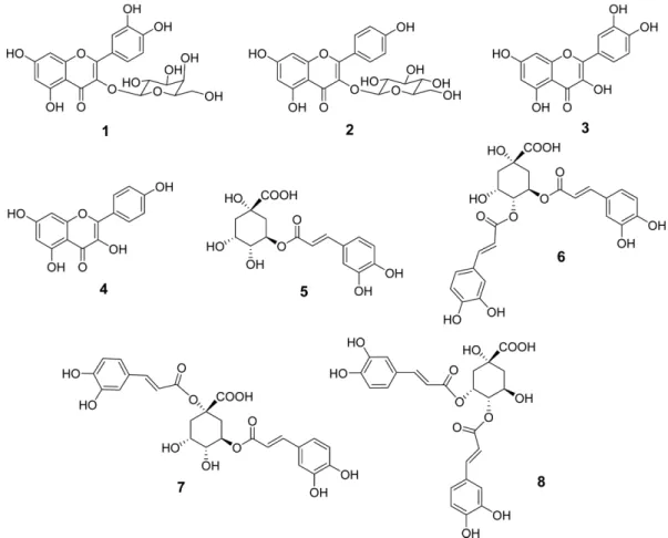 Fig. 1. The structures of marker compounds (1 - 8) of C. chinensis and C. japonica samples.