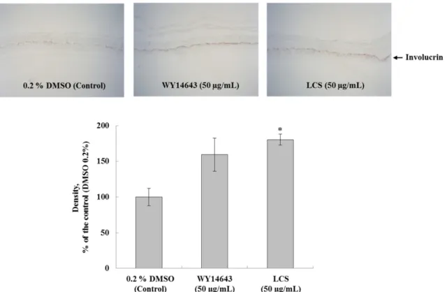 Fig. 3. Transactivation of peroxisome proliferator-activated receptor (PPAR)-responsive element (PPRE) by different  concen-trations of LC