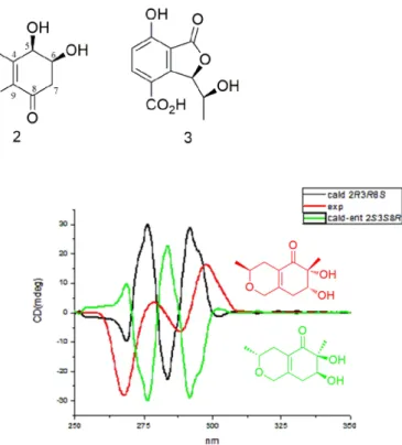 Fig. 2. The key HMBC, NOESY and COSY correlations of compounds 1 - 2.