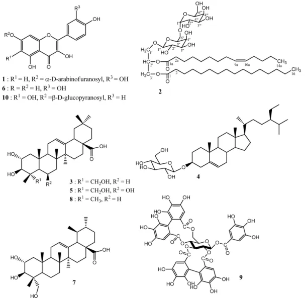 Fig. 1. Chemical structures of compounds isolated from T. hirtum.