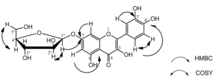 Fig. 2. Selected HMBC and COSY  1 H- 1 H correlations of com- com-pound 1.