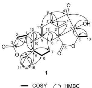 Fig. 2. COSY and HMBC correlations of compound 1.