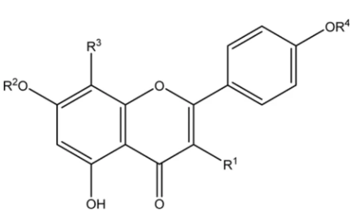 Fig. 1. Structure of flavonoid glycosides (1 – 4) isolated from S.