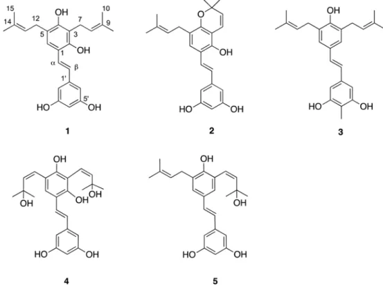 Fig. 1. Structures of compounds 1 - 5 isolated from Artocarpus communis.