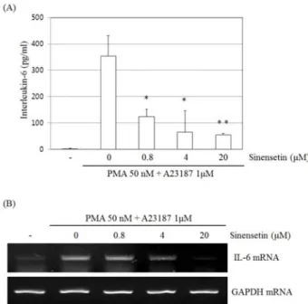 Fig. 3. Effect of sinensetin on the PMA plus A23187-induced activation of the NF-κB Pathway in HMC-1