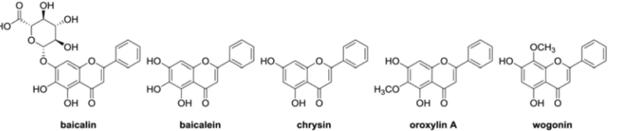 Fig. 1. Chemical Structures of flavonoids from Scutellariae Radix.