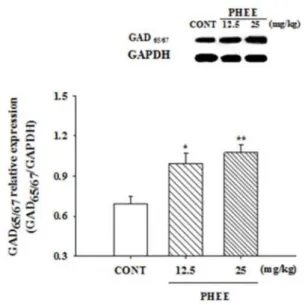 Fig. 7. Effects of PHEE on the expression of GAD. After PHEE (12.5 and 24 mg/kg) oral administration, theexpression of GAD was measured with the expression of GAPDH