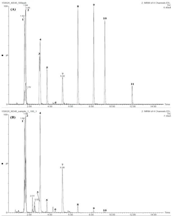 Fig. 3. Total ion chromatograms of the reference standard (A) and lyophilized Yeonggyechulgam-tang extract (B) by LC-MS/MS MRM mode