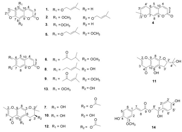 Fig. 1. Structures of 1 – 14. 