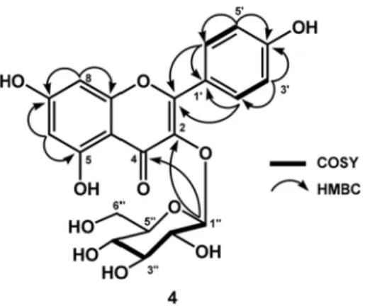 Fig. 2. Key HMBC ( → ) and COSY ( ) correlations of 3.
