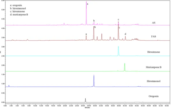 Fig. 2. HPLC pattern of FAS, AS and the specificity of hirsutenone and muricarpone B.