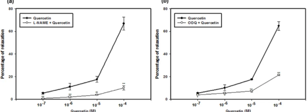 Fig. 2. Relaxation effect of quercetin in L-phenylephrine (Phe)-induced contraction (n = 4)