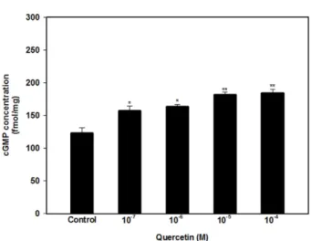 Fig. 4. Interaction of quercetin (QUER, 10 −5 M) with sildenafil (SILD, 10 −8 M) (n = 4)