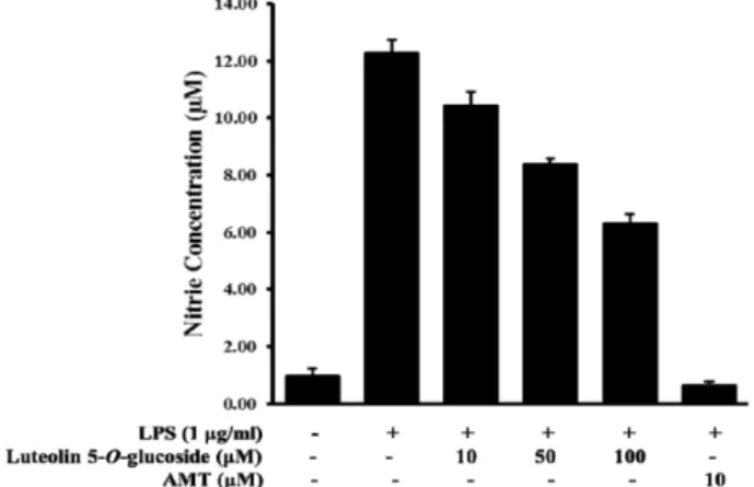 Fig. 3. Inhibitory effects of luteolin 5-O-glucoside on the expression of iNOS and COX-2 in LPS-stimulated RAW 264.7 cells