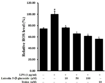 Fig. 7. Inhibitory effects of luteolin 5-O-glucoside on the expression of HO-1 and Nrf-2 in LPS-stimulated RAW 264.7 cells