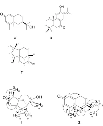 Fig. 1. Chemical structures of isolated compounds 1 - 7.