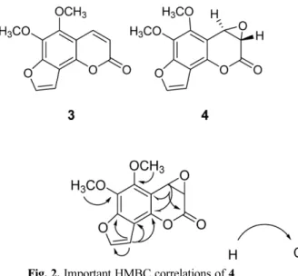 Fig. 2. Important HMBC correlations of 4.