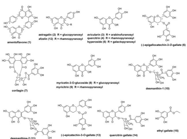 Fig. 1. The chemical structures of isolated compounds (1 – 15) from the leaves of H. riparia.