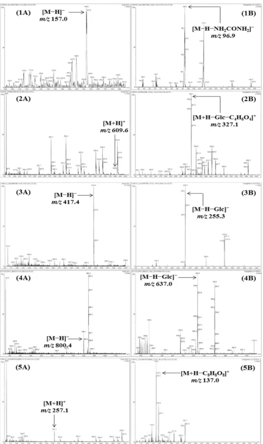Fig. 2. Mass spectra of the precursor ion (Q1, A) and product ion (Q3, B) for LC-MS/MS MRM mode of the compounds 1 - 13.
