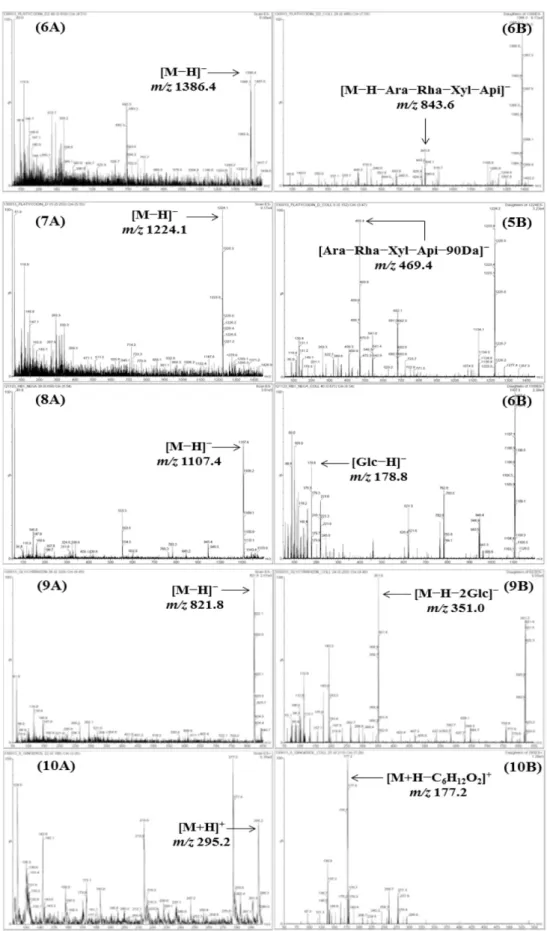 Fig. 2. contineud