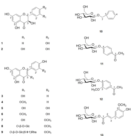 Fig. 1. The structures of compounds 1 - 13 isolated from O. ficus-indica.