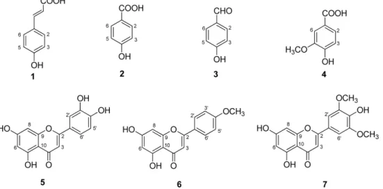 Fig. 1. Chemical structures of compounds 1 - 7 isolated from the grains of E. utilis. 