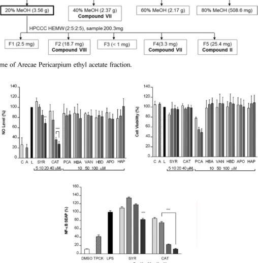 Fig. 7. Effect of isolated compounds on (A) NO production and (B) cell viability and (C) NF-κB inhibition activity of syringol and catechol.
