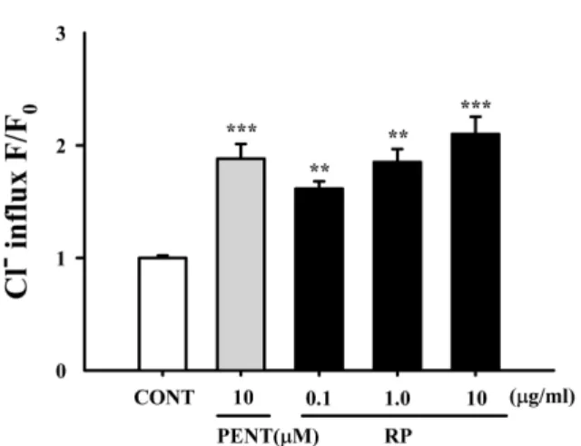 Fig. 8. Effects of RP on expression of GABA A  receptor subunits.