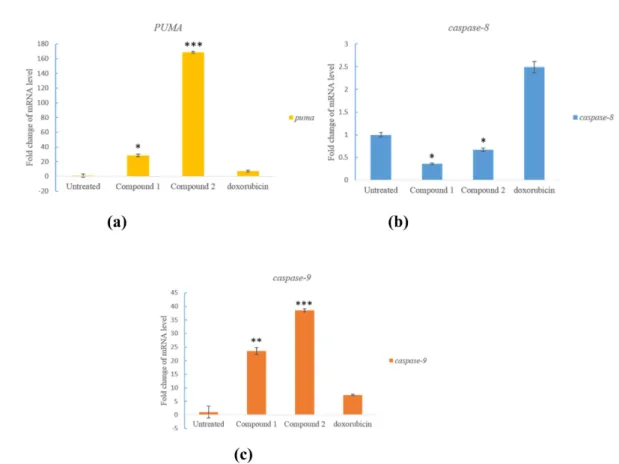 Fig. 3. Effects of compounds 1 and 2 on PUMA (a), caspase-8 (b) and caspase-9 (c) mRNA level