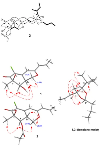 Fig. 3. NOESY correlations for 1 and 2.