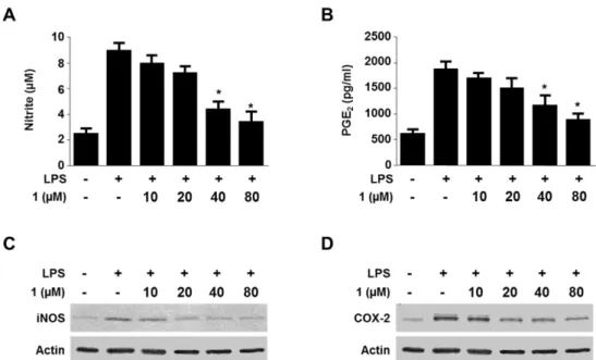 Fig. 5. Effects of 1 on IL-1β mRNA (A), IL-6 mRNA (B), and TNF-α mRNA (C) expression in RAW264.7 cells