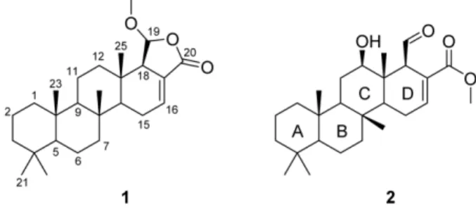 Fig. 2. Key COSY and HMBC correlations of 1.