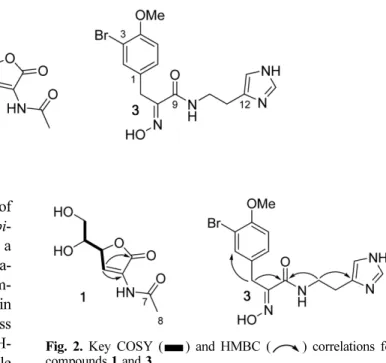 Fig. 2. Key COSY ( ) and HMBC ( ) correlations for compounds 1 and 3.