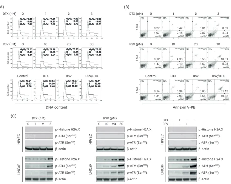 Fig. 2. Cytotoxic effects induced by RSV and DTX in LNCaP cells. Cells were treated with indicated concentrations of RSV and DTX, otherwise RSV (20 μM) and  DTX (2 nM) alone or in combination for 48 h