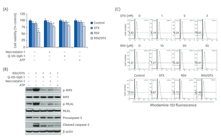 Fig. 4. Apoptosis, necroptosis, and oxidative mitochondrial dysfunction in LNCaP cell treated with RSV and DTX
