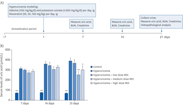 Fig. 1. The serum uric acid level in the hyperuricemia group after treatment with different dosages of resveratrol