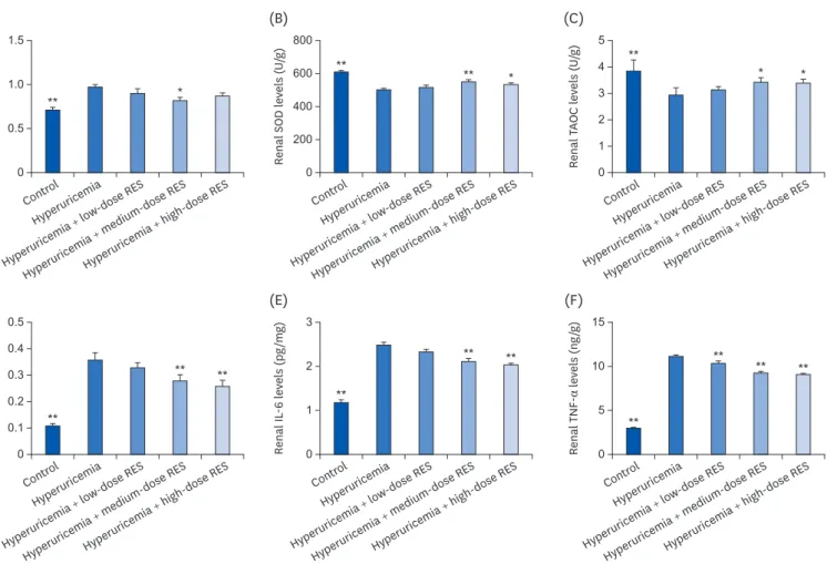 Fig. 6. RES preserves rat renal function and reduces cytokine production induced by hyperuricemia