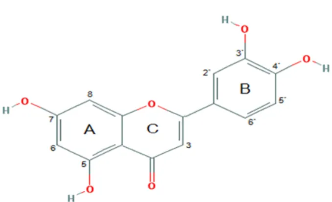 Fig. 1. Chemical structure of luteolin