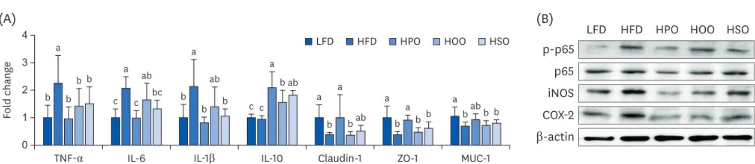 Fig. 6. The expression levels of inflammatory markers in colon. (A) mRNA expression using PCR, (B) protein expression using western blot