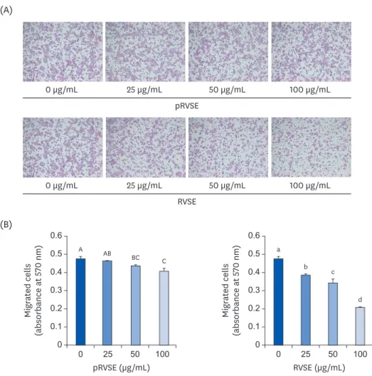Fig. 3. Effect of pRVSE and RVSE on the migration of AGS cells. 