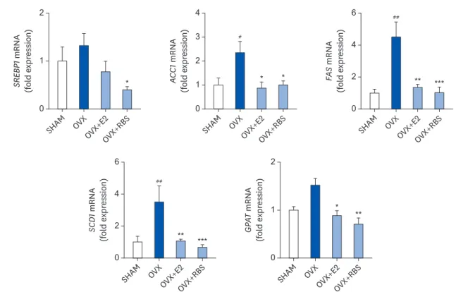 Fig. 4. RBS suppresses the mRNA expression of lipogenic genes. Relative mRNA levels were measured by qRT-PCR and normalized against that of β-actin