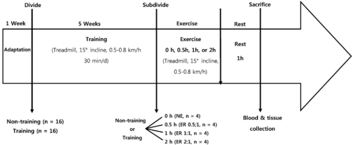 Fig. 1. Schematic overview of experimental design
