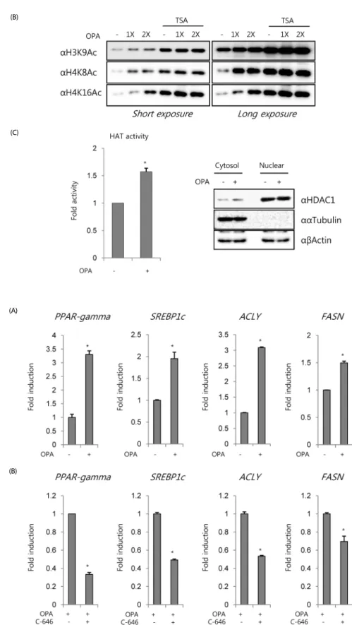 Fig. 1. continued