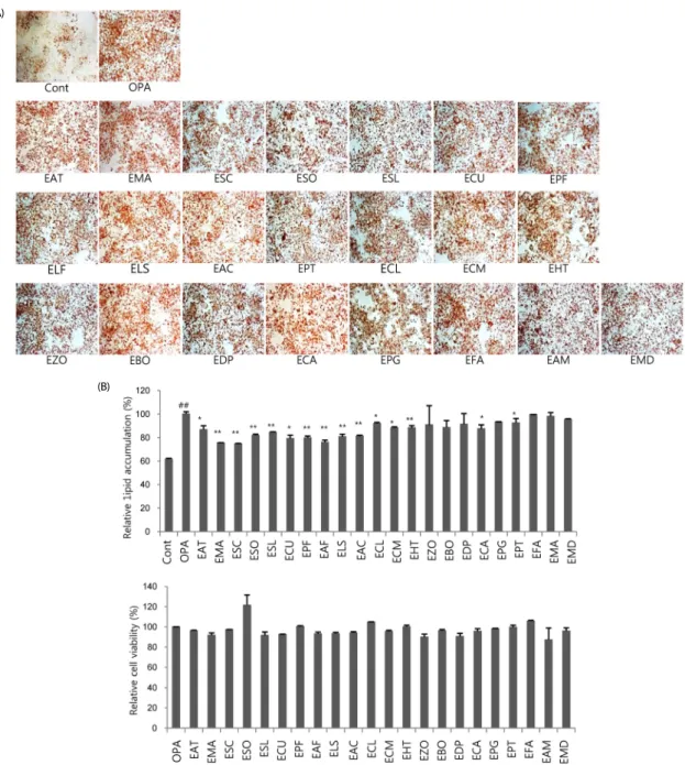 Fig. 3. Effect of natural extracts (NExs) on lipid accumulation in HepG2 cells.   (A)  HepG2  cells  were  treated  oleic  acid  only  or  co-treated  with  oleic  acid  and  NExs  for  24h