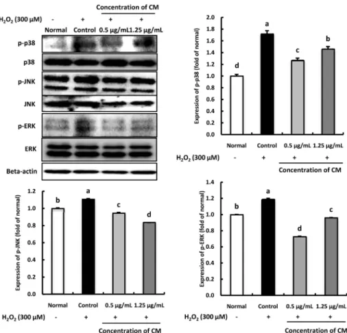 Fig. 5. Effect of Cordyceps militaris (CM) on phospho-p38 (p-p38), phospho-JNK (p-JNK), and phospho-ERK (p-ERK) protein expression in H 2 O 2 -induced C6 glial cells
