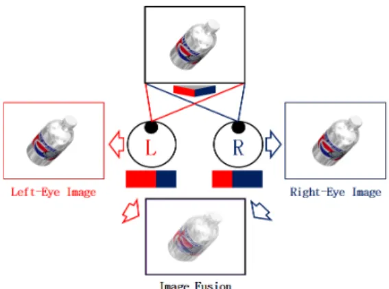 Fig. 5 Principle of a Stereoscopic Image